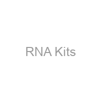 RNA Kits